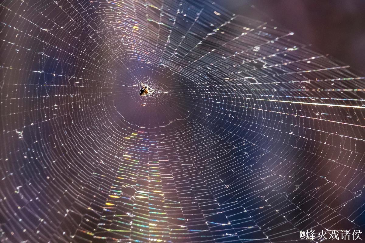 探索“1024你懂得”的神秘网络文化现象