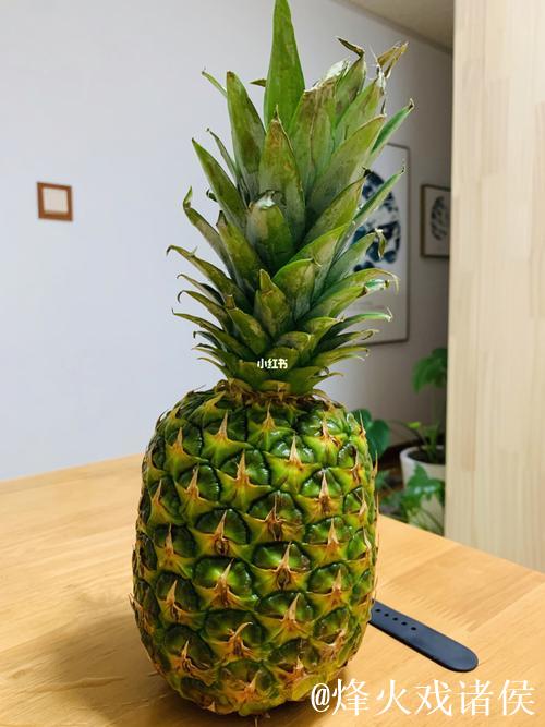 探索绿菠萝视频的神秘世界:揭开新媒体潮流的帷幕 探索绿菠萝视频的神秘世界:揭开新媒体潮流的帷幕